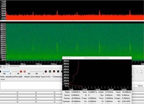 Bat sonogram recording